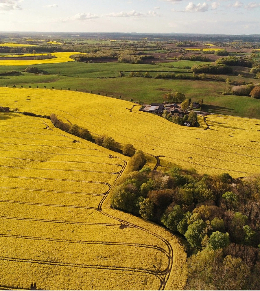 Luftbild von Feldern, Waldflächen und landwirtschaftlichem Betrieb