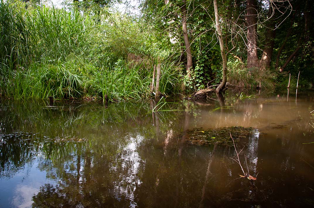 Bilder aus dem Naturhaus Naturpark märkische Schweiz