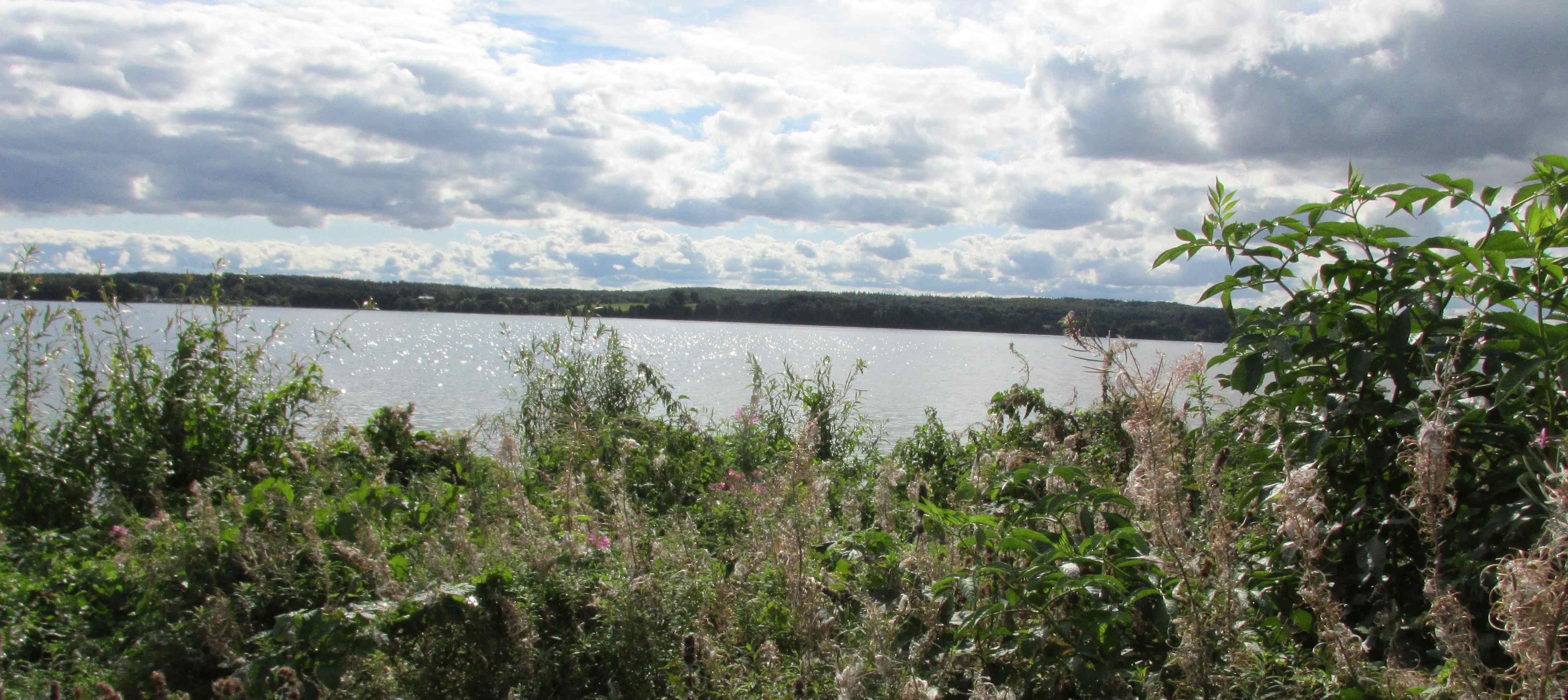 Kartierte Flächen in Schleswig-Holstein
