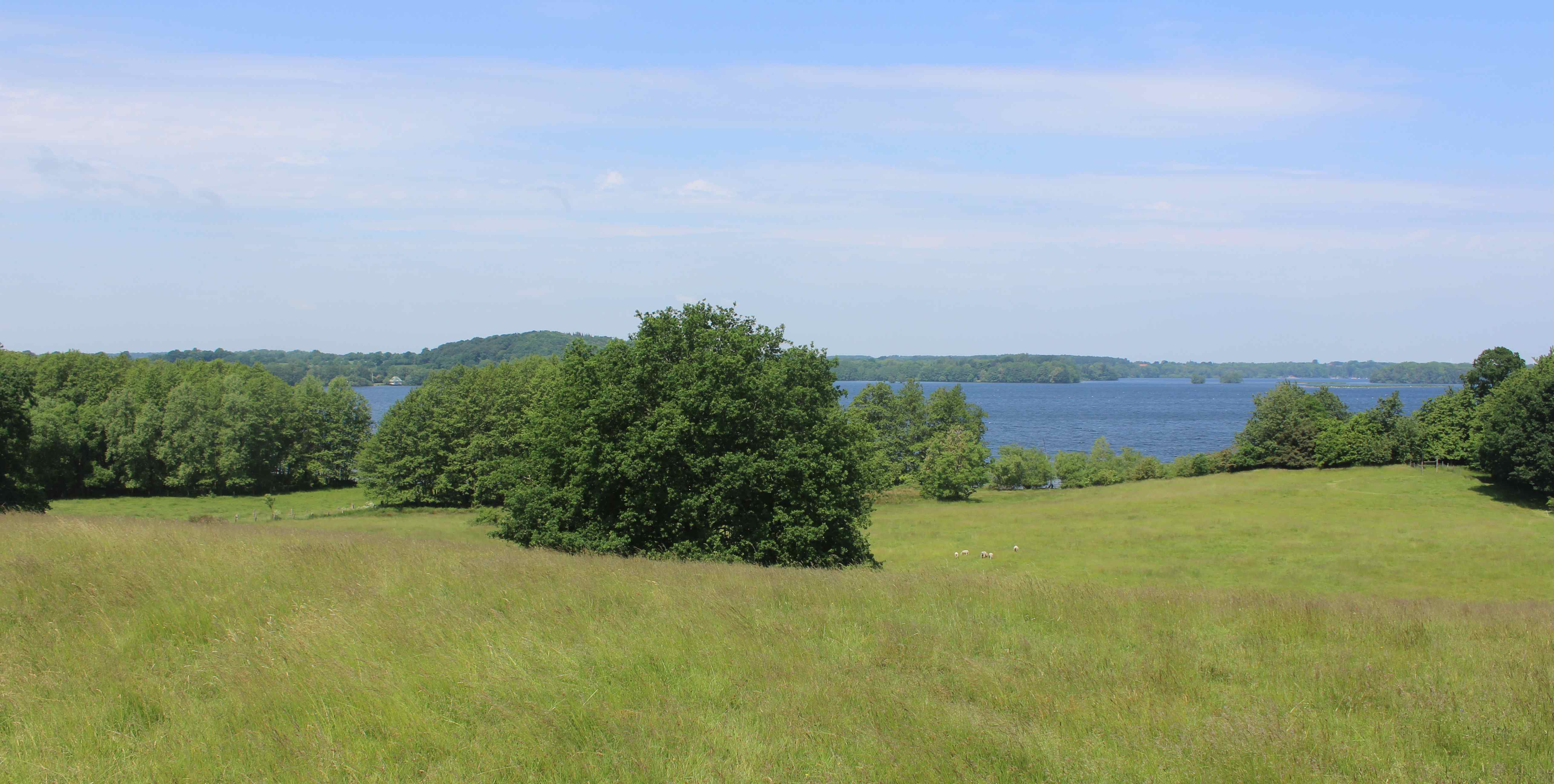 Kartierte Flächen in Schleswig-Holstein