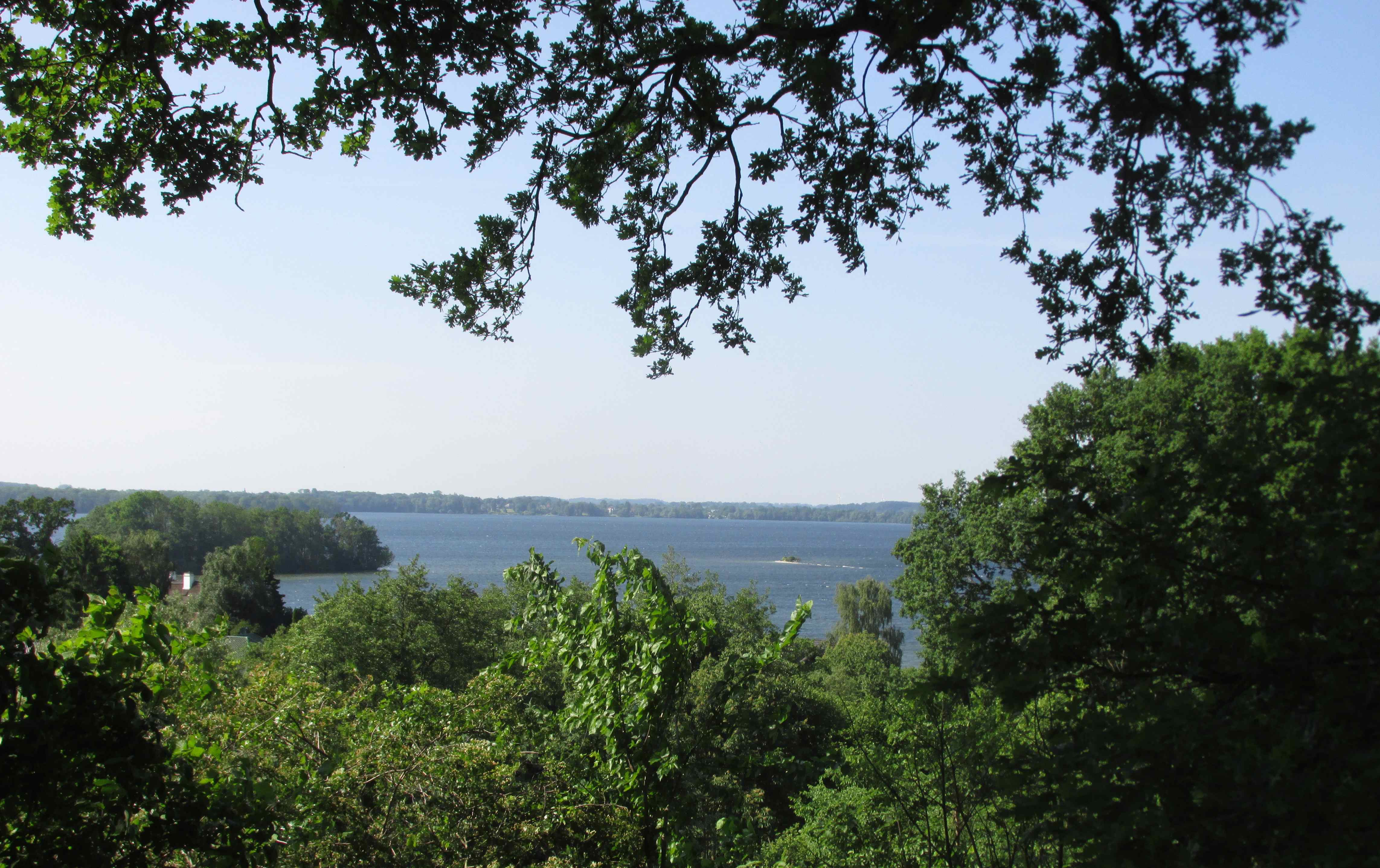 Kartierte Flächen in Schleswig-Holstein
