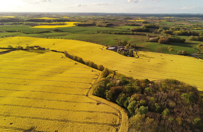 Luftaufnahme einer typisch norddeutschen Kulturlandschaft mit Feldern, Knicks und Waldflächen