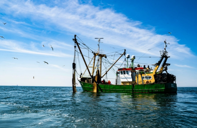 Muschelfischereifahrzeug auf offener See mit Fanggeschirr und Möwen