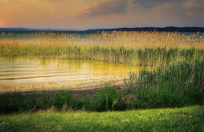 Biotopkartierung 2025 - Schleswig-Holstein | GIS & Qualität