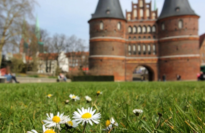 Biotopkatierung Lübeck 2025-2028