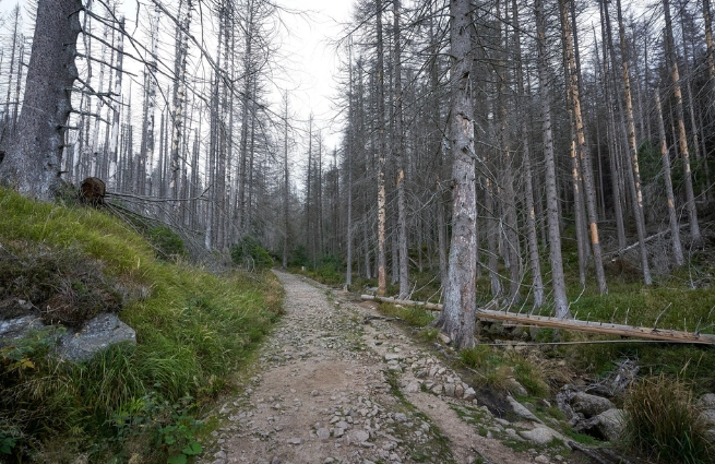 Forstliche Standortkartierung Niedersachsen